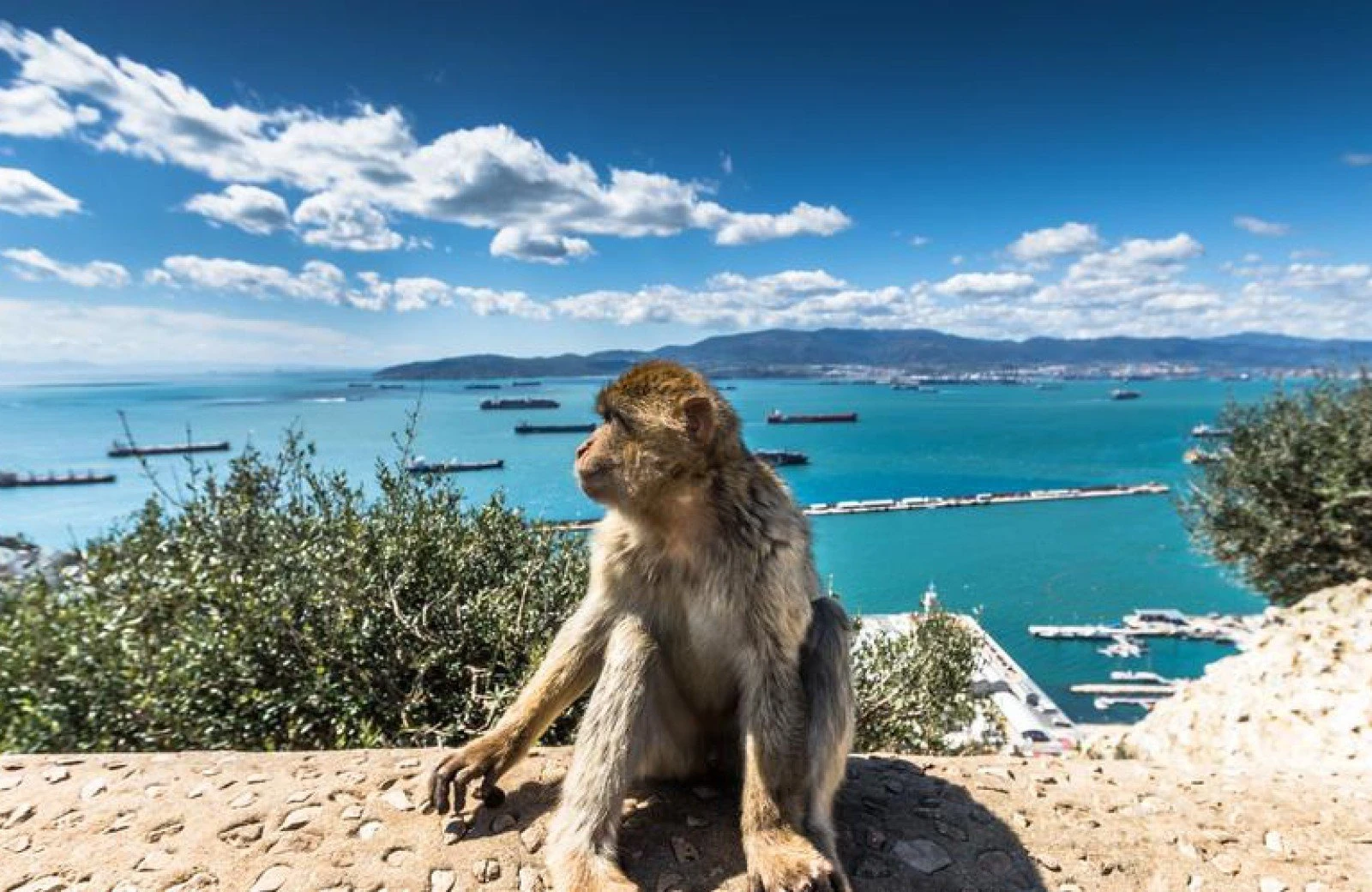 45f22d4d city 33872 166c1a5044d