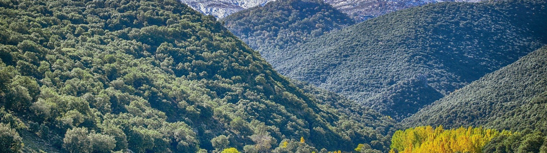 Landscape g16109af531920