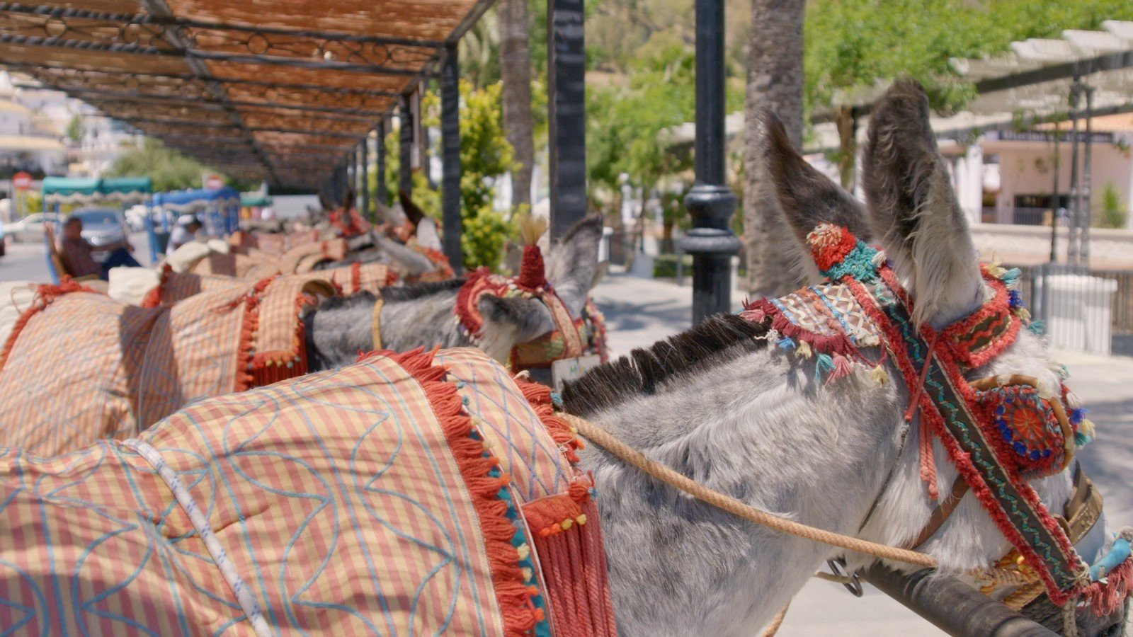 Mijas 02 615b127d43f43