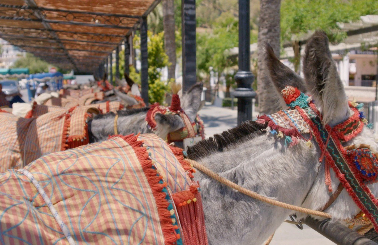 Mijas 02 615b127d43f43