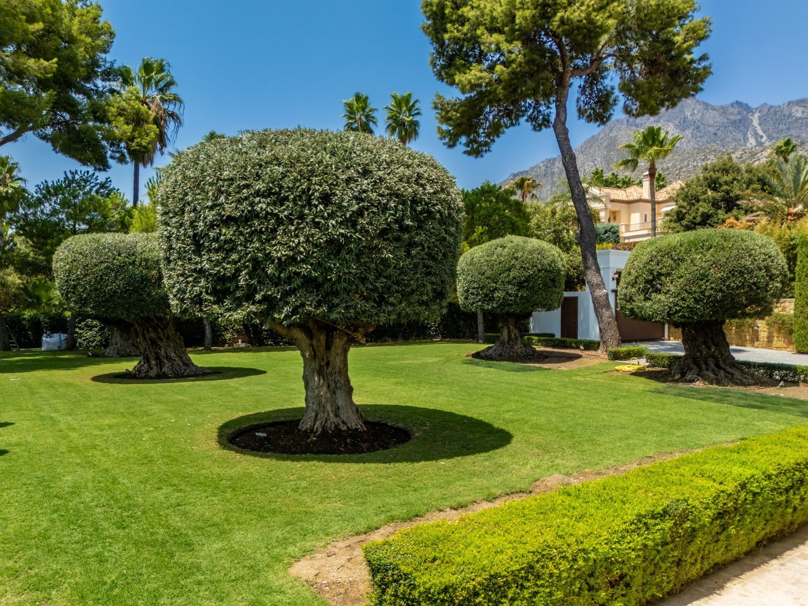 Villa sinfonia 37